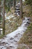 201212281332-AJS_5746.jpg